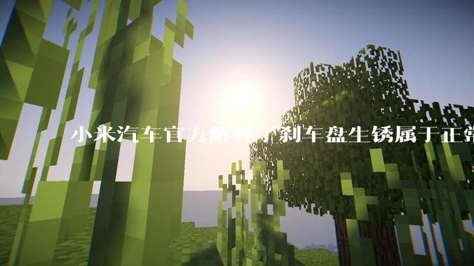小米汽车官方解释了刹车盘生锈属于正常现象，并提供了两种除锈功能，这些措施是否足够有效？