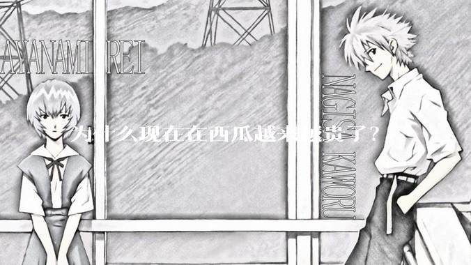 为什么现在在西瓜越来越贵了？