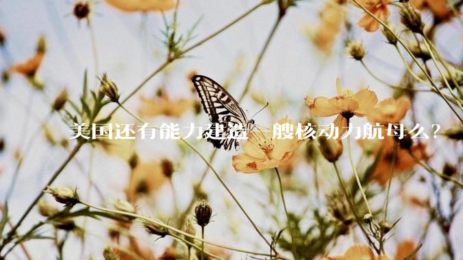 美国还有能力建造一艘核动力航母么？